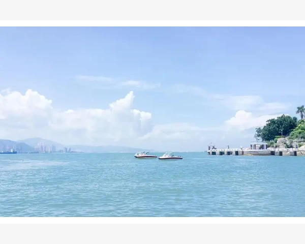 令人惊喜的功效！五种中草药茶最有效止咳化痰
